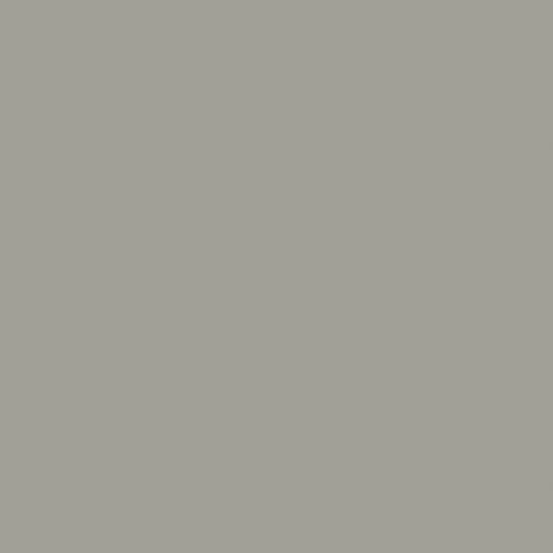 Fog Gray swatch