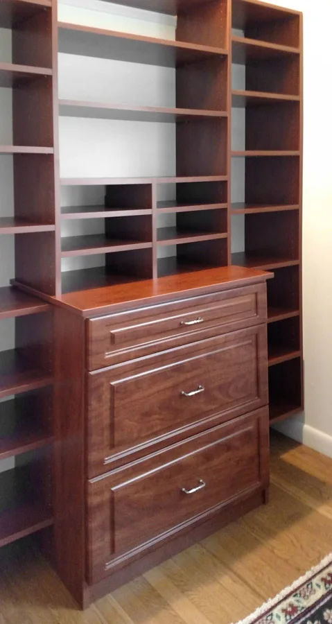 Closets design idea